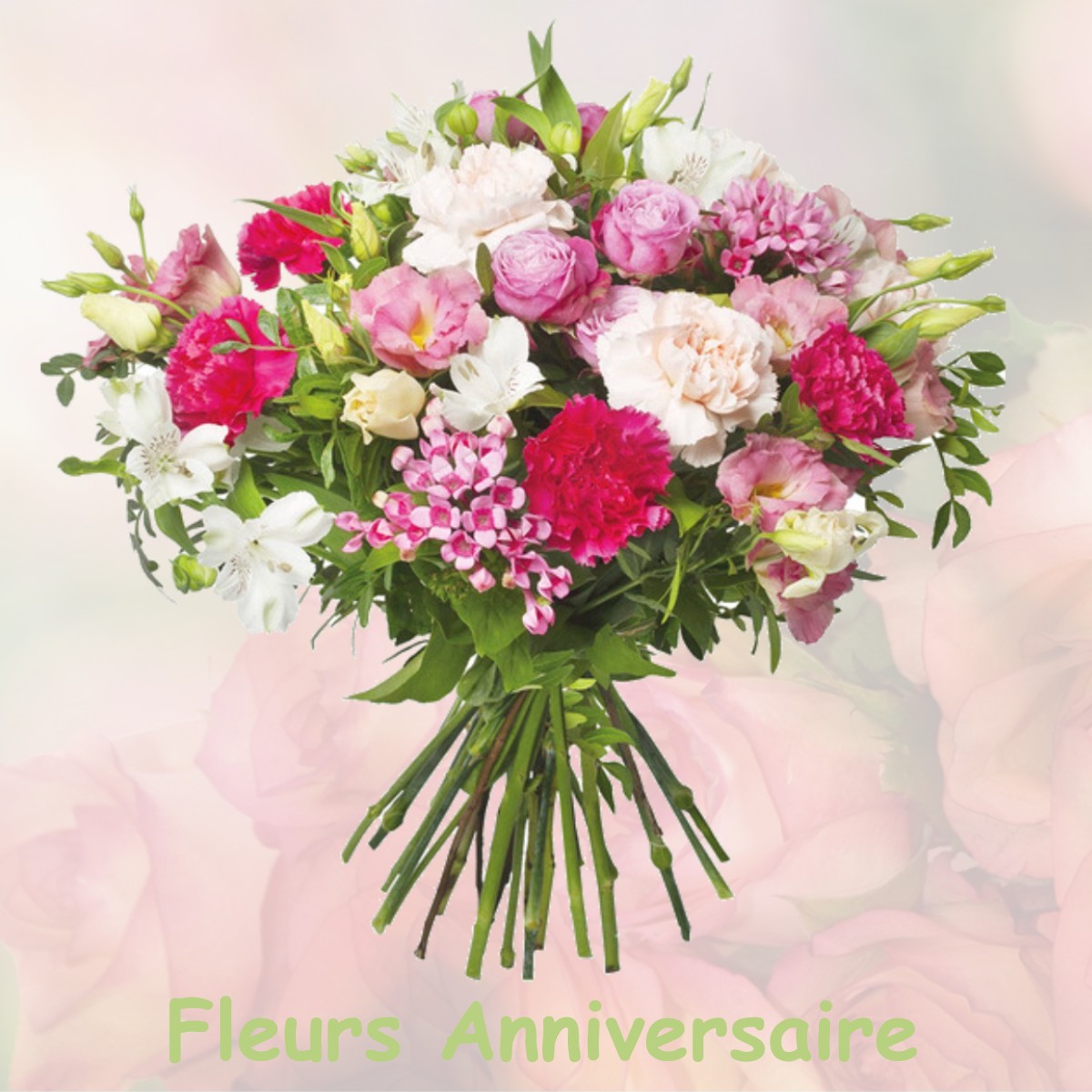fleurs anniversaire NOGENT-LE-ROI